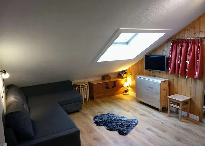T2 Pour 4 Pers Style Chalet Pied Des Pistes