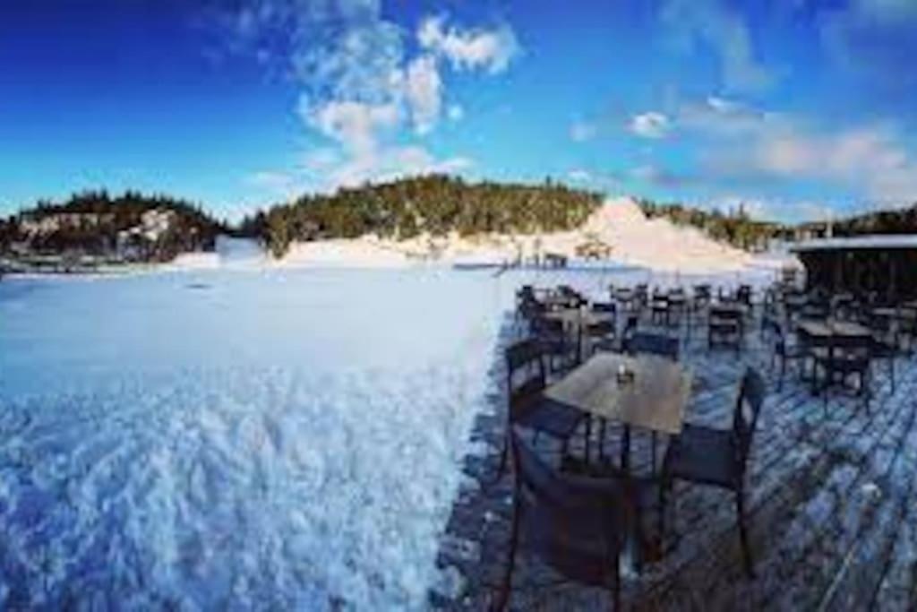 Apartment T2 Pour 4 Pers Style Pied Des Pistes *