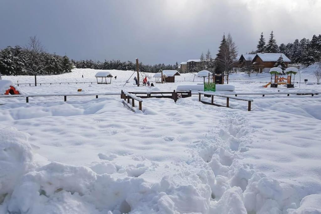 T2 Pour 4 Pers Style Pied Des Pistes * Bolquere